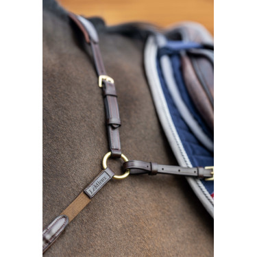 Collier de chasse avec martingale LeMieux Havane Marron Collier de chasse avec martingale LeMieux Havane Marron