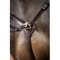 Collier de chasse avec martingale LeMieux Noir