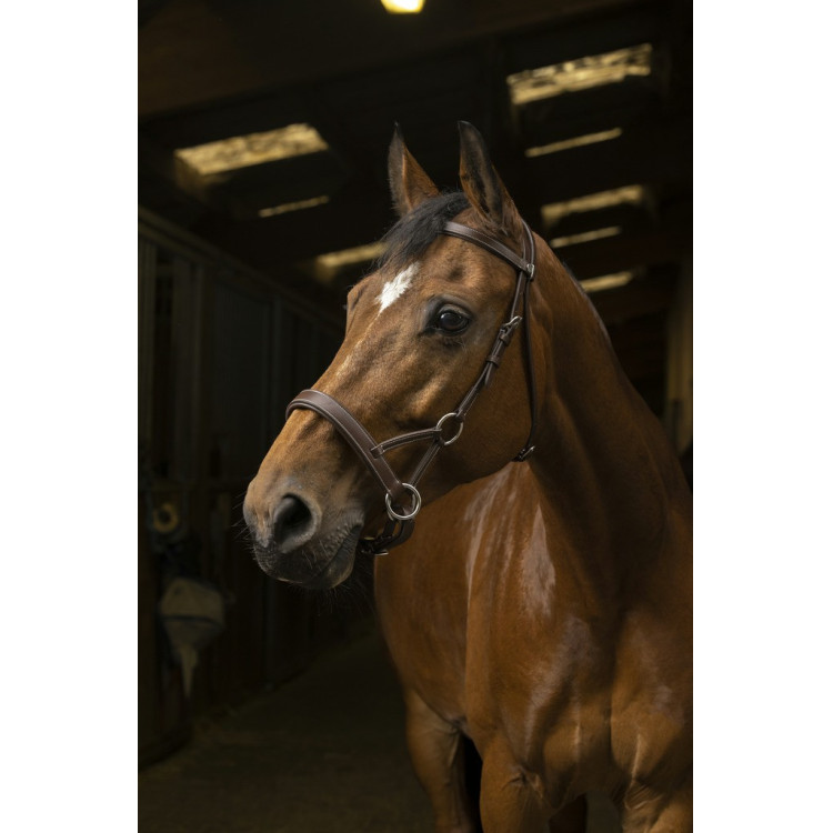 Side-pull Norton Pro Confort Side-pull Norton Pro Confort
