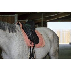 Tapis de selle Equithème Softy