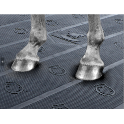 Matelas Bubble King Matelas Bubble King