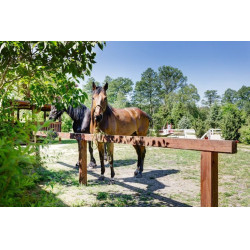 Dalles stabilisatrices Stab-Max Dalles stabilisatrices Stab-Max