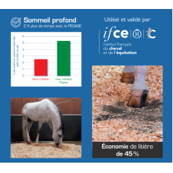 Matelas de box Pégase Matelas de box Pégase