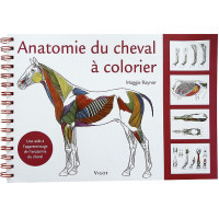 Anatomie du cheval à colorier