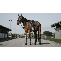 Bonnet chasse-mouches Equithème French Touch Noir Bonnet chasse-mouches Equithème French Touch Noir