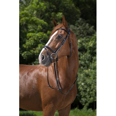 Bridon Riding World gecombineerde neusriem Zwart Bridon Riding World gecombineerde neusriem Zwart