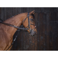 Lederen gogue-teugels Riding World Zwart Lederen gogue-teugels Riding World Zwart