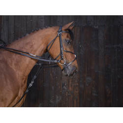 Lederen gogue-teugels Riding World Zwart Lederen gogue-teugels Riding World Zwart