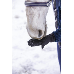 Equithème Winter digitale handschoenen Zwart Equithème Winter digitale handschoenen Zwart