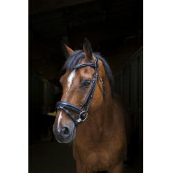 Bridon Eric Thomas Pro Design Noir Bridon Eric Thomas Pro Design Noir