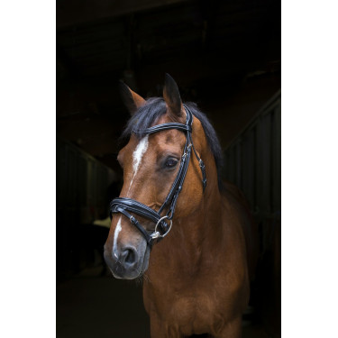 Bridon Eric Thomas Pro Design Noir Bridon Eric Thomas Pro Design Noir