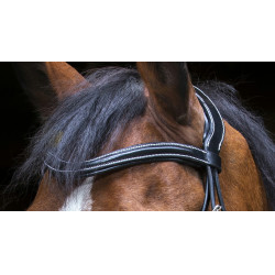 Bridon Eric Thomas Pro Design Noir Bridon Eric Thomas Pro Design Noir