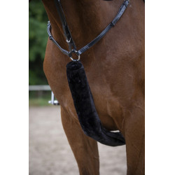 Hoogstuk voor martingaal Equithème Teddy Zwart
