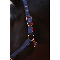 Licol Classy Covalliero Bleu marine