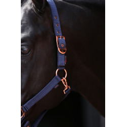 Licol Classy Covalliero Bleu marine