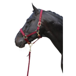Licol Classy Covalliero Merlot Rouge Licol Classy Covalliero Merlot Rouge