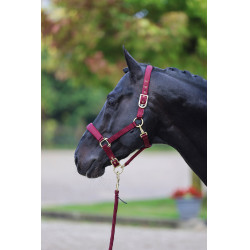 Licol Classy Covalliero Merlot Rouge Licol Classy Covalliero Merlot Rouge