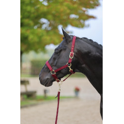Licol Classy Covalliero Merlot Rouge Licol Classy Covalliero Merlot Rouge