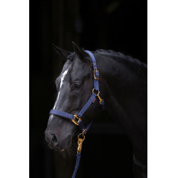 Licol TopLine Covalliero Bleu marine