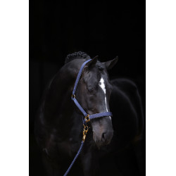 Licol TopLine Covalliero Bleu marine