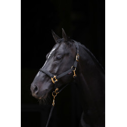 Licol TopLine Covalliero Noir