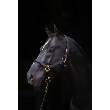 Licol TopLine Covalliero Noir