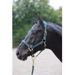 Licol TopLine Covalliero Vert forêt