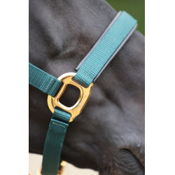 Licol TopLine Covalliero Vert forêt