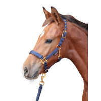 Veulenhalster TopLine Covalliero Marineblauw