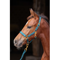 Licol poulain TopLine Covalliero Vert forêt Licol poulain TopLine Covalliero Vert forêt