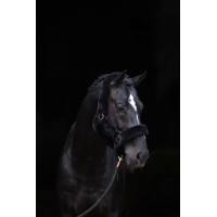 Halster SuperSoft Covalliero Zwart