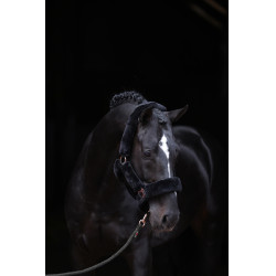 Licol SuperSoft Covalliero Noir