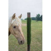 KratzPad Kerbl krab- en reinigingsplaat Groen KratzPad Kerbl krab- en reinigingsplaat Groen