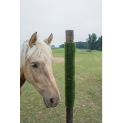 KratzPad Kerbl krab- en reinigingsplaat Groen