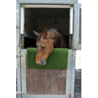 Plaque de grattage et de nettoyage KratzPad Kerbl Vert Plaque de grattage et de nettoyage KratzPad Kerbl Vert