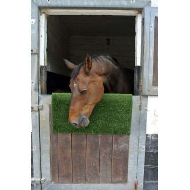 Plaque de grattage et de nettoyage KratzPad Kerbl Vert Plaque de grattage et de nettoyage KratzPad Kerbl Vert