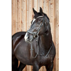 Anatomisch hoofdstel Horze Highbury frontriem met strass Anatomisch hoofdstel Horze Highbury frontriem met strass