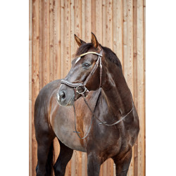 Bridon anatomique Horze Highbury frontal strass Marron foncé