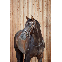 Anatomisch hoofdstel Horze Somerset Anatomisch hoofdstel Horze Somerset