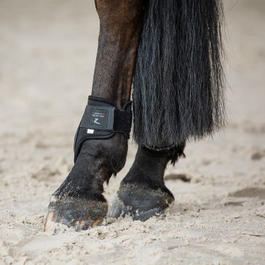 Gamaschen en kogelbeschermers Horze Armour Airflow Zwart Gamaschen en kogelbeschermers Horze Armour Airflow Zwart