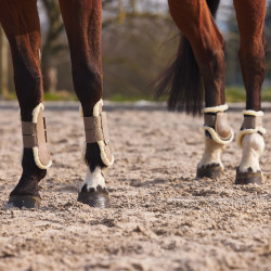 Guêtres mouton Horze Windsor Marron clair