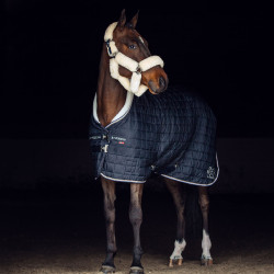 Staldeken B Vertigo Theo 150 g Staldeken B Vertigo Theo 150 g