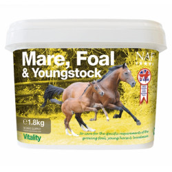 Juments, poulains et jeunes chevaux NAF