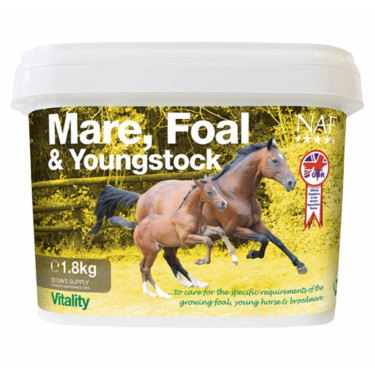 Merries, veulens en jonge paarden NAF Merries, veulens en jonge paarden NAF