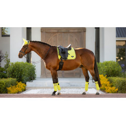 Tapis LeMieux Loire Classic Dressage Square Kiwi Kaki