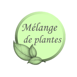 Garlic Plus ESC Laboratoire