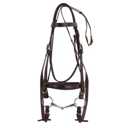 Bridon Excelsior Trekpaard Havana Bruin
