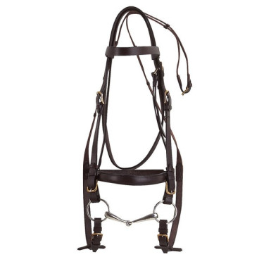 Bridon Excelsior Trekpaard Havana Bruin