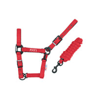 Licol Pool's nylon boucles noires avec longe Fuchsia Licol Pool's nylon boucles noires avec longe Fuchsia