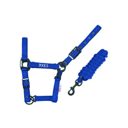 Licol Pool's nylon boucles noires avec longe Bleu royal Licol Pool's nylon boucles noires avec longe Bleu royal